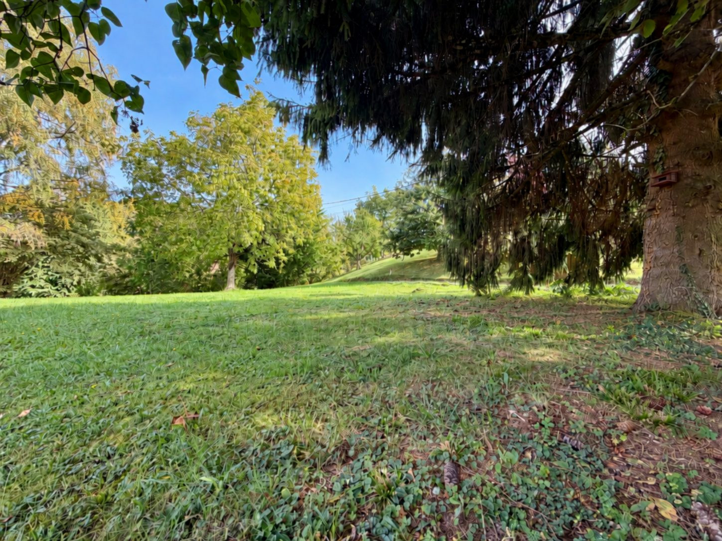 Terrain à vendre à Châtillon-sur-Cluses