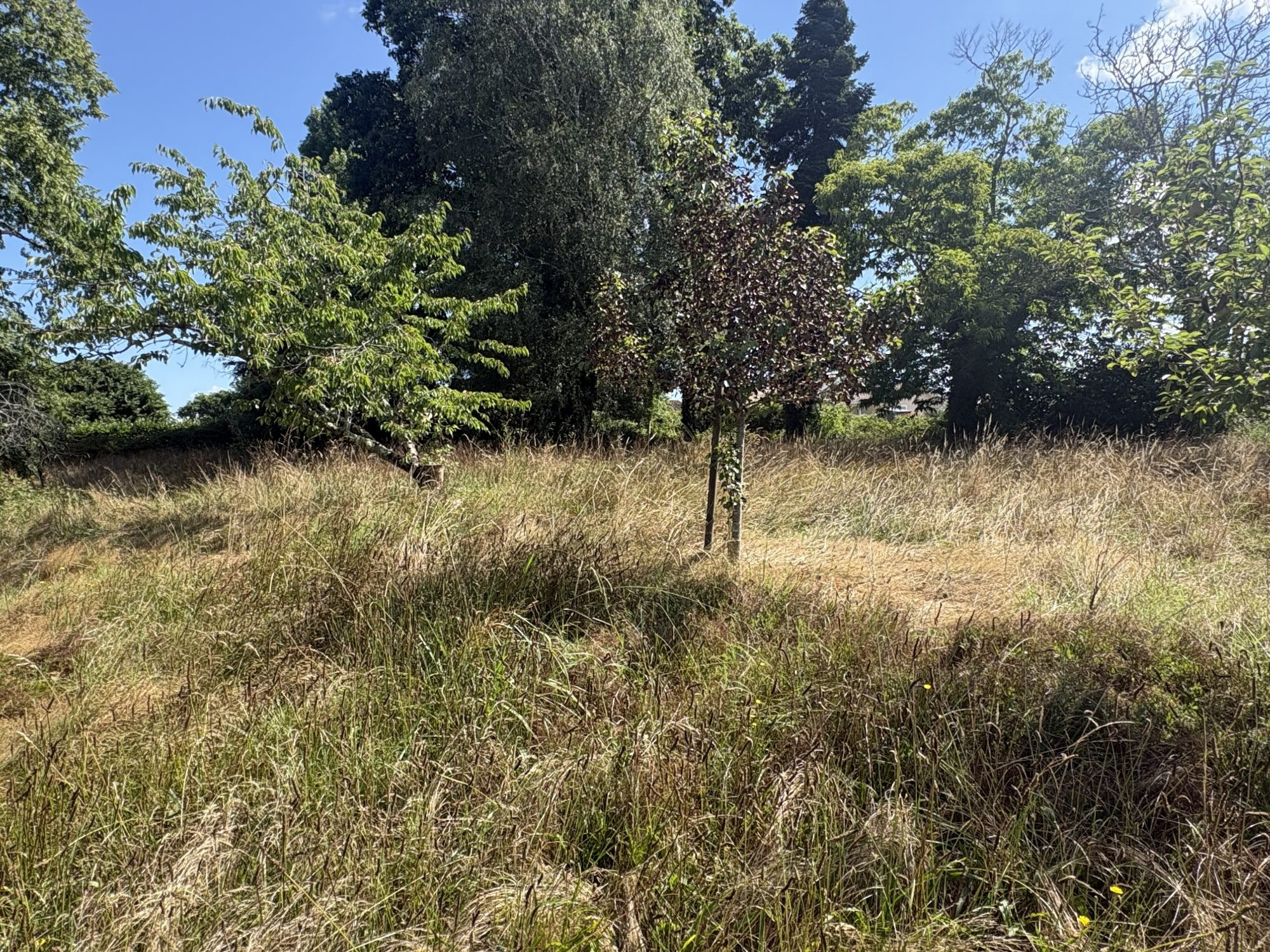 Terrain à vendre à Hinx