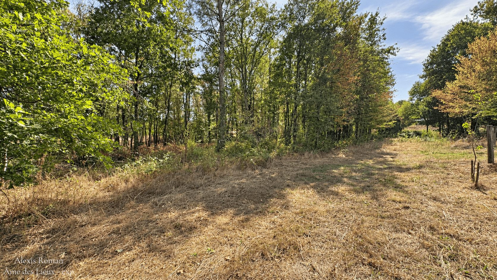 Terrain à vendre à Eygurande-et-Gardedeuil