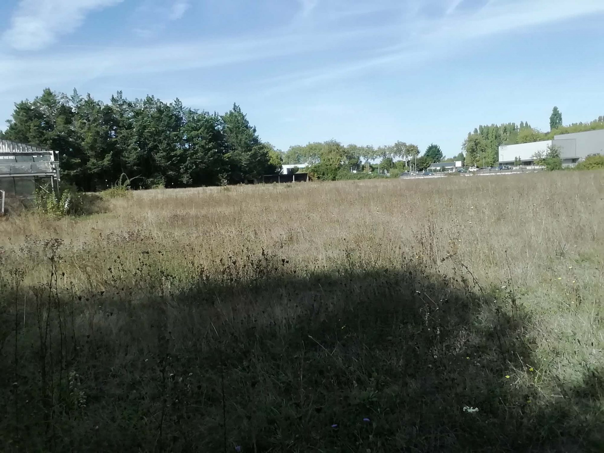 Land for sale in Rives-du-Loir-en-Anjou