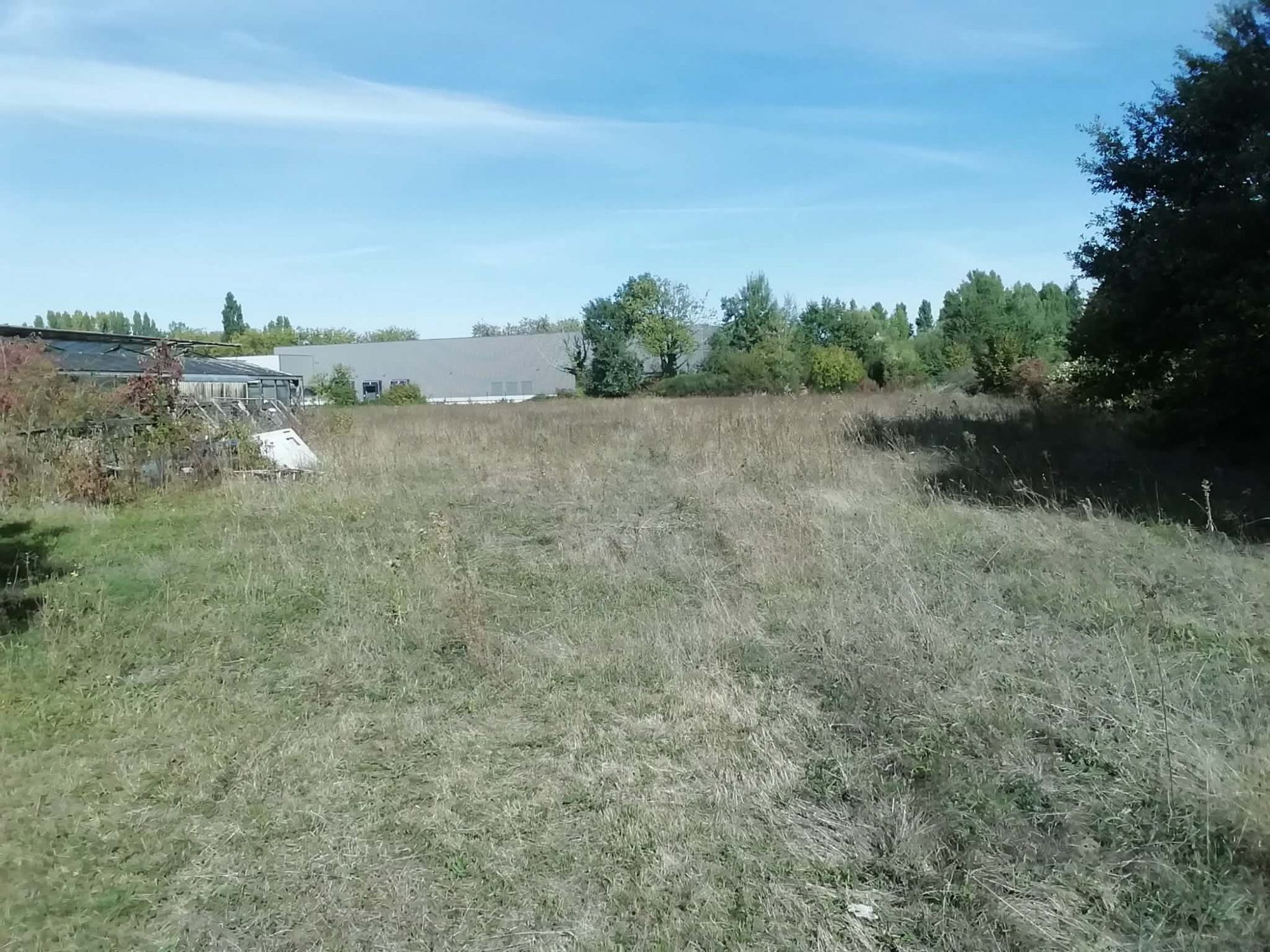 Land for sale in Rives-du-Loir-en-Anjou