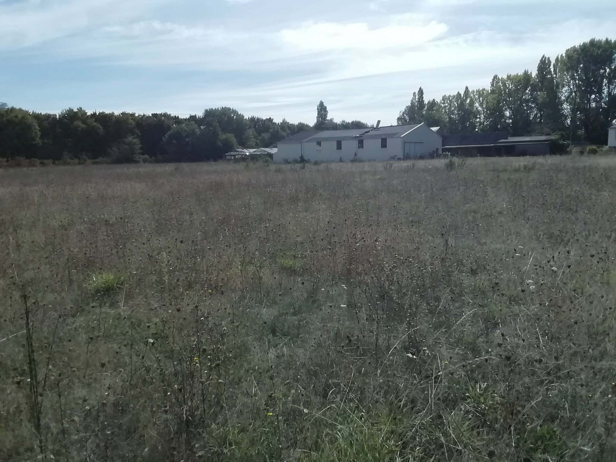 Land for sale in Rives-du-Loir-en-Anjou