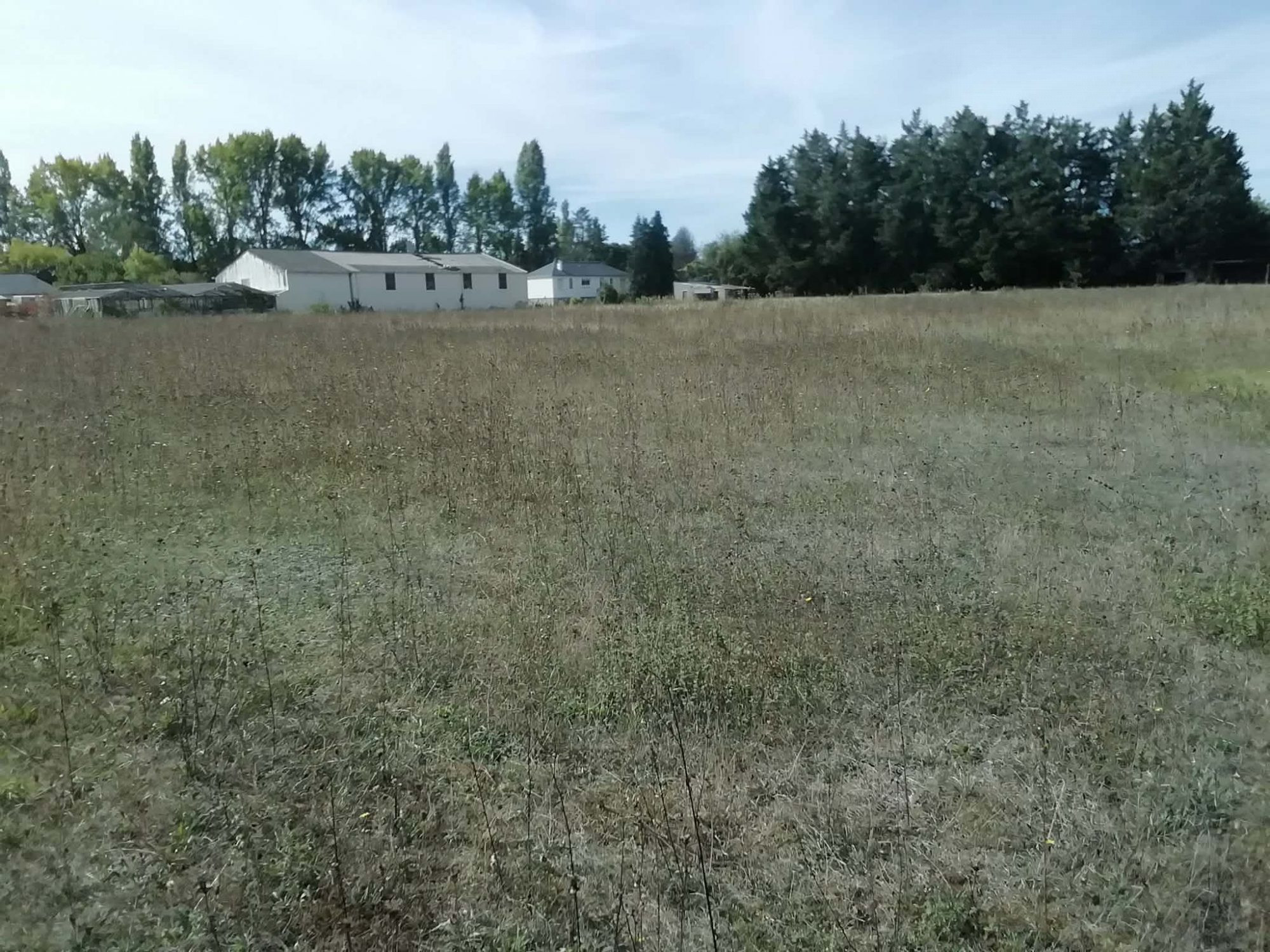 Land for sale in Rives-du-Loir-en-Anjou