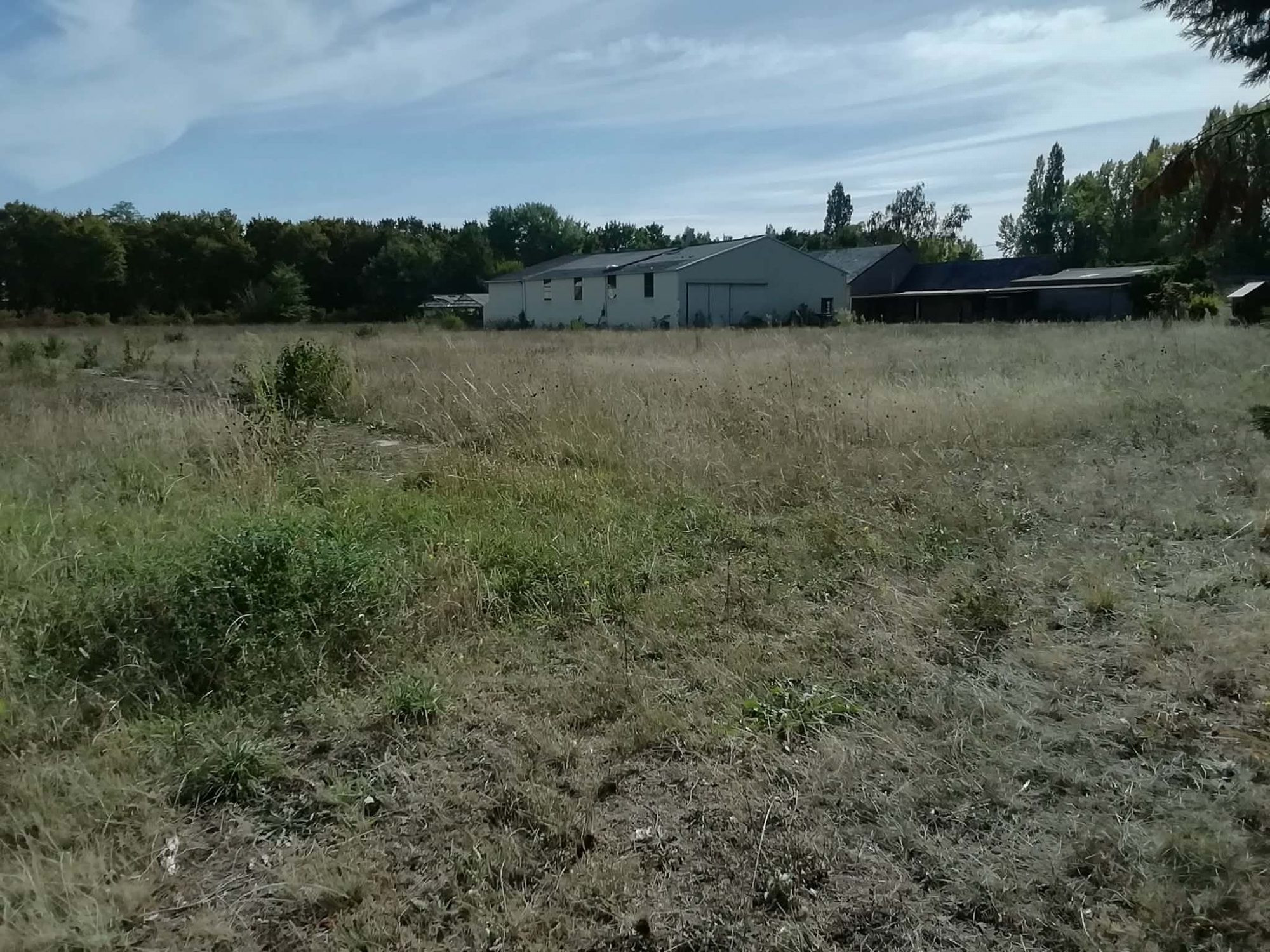 Land for sale in Rives-du-Loir-en-Anjou
