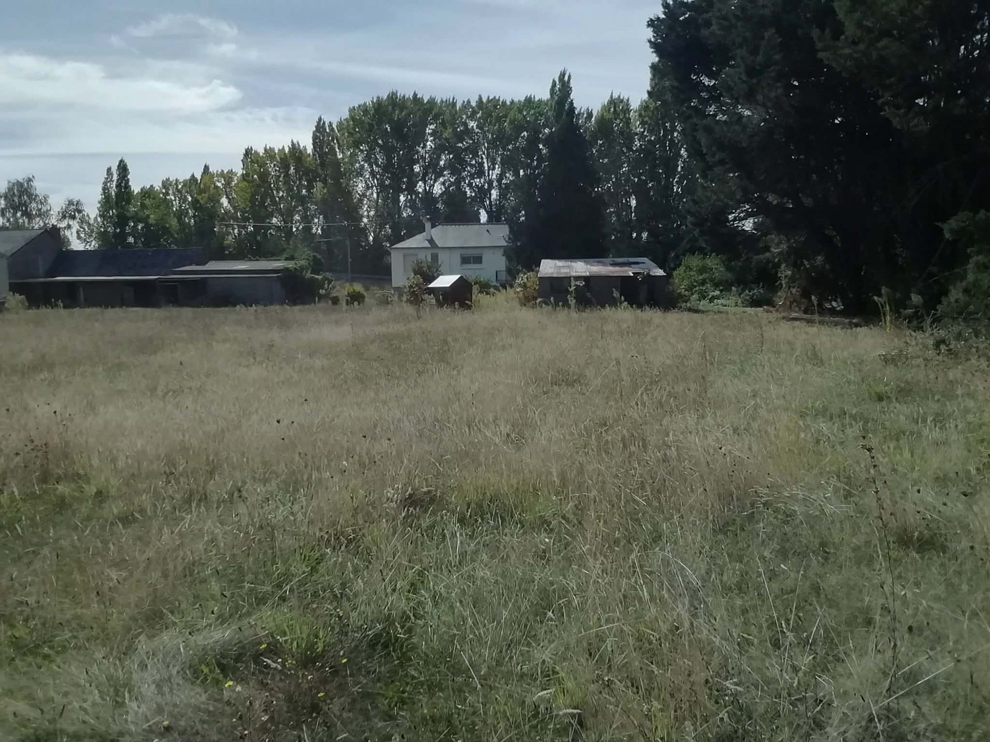 Land for sale in Rives-du-Loir-en-Anjou