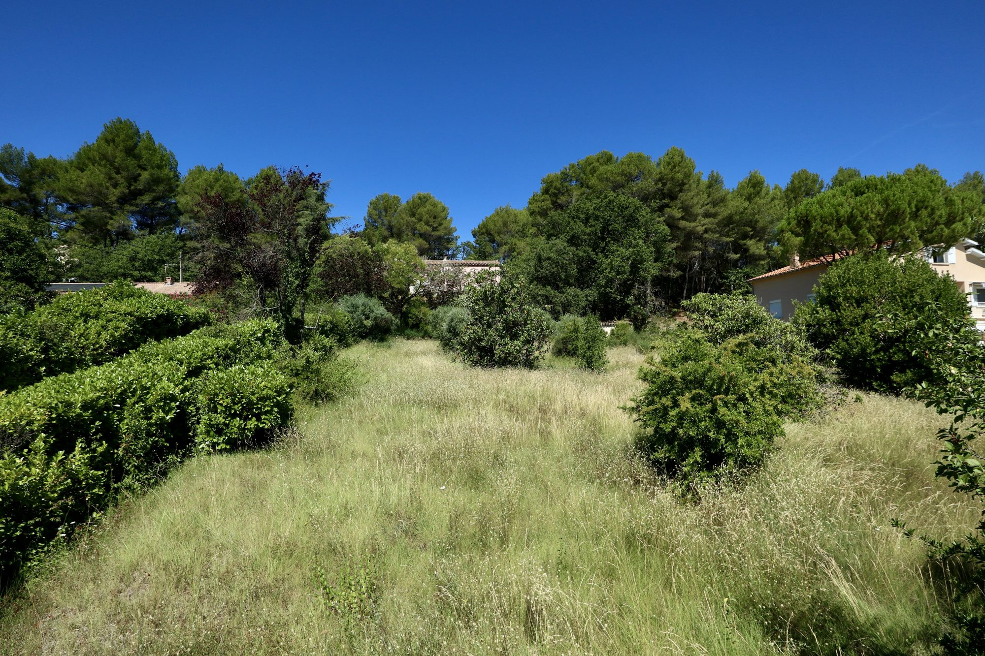 Terrain for sale in Pierrevert