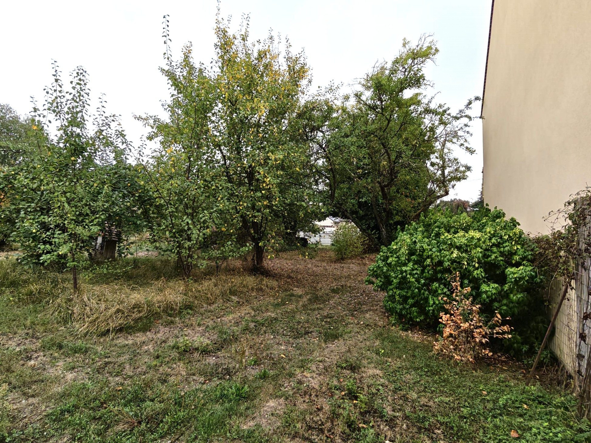 Terrain à vendre à Samoreau