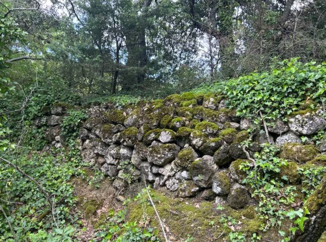 Terrain for sale in Tourtour
