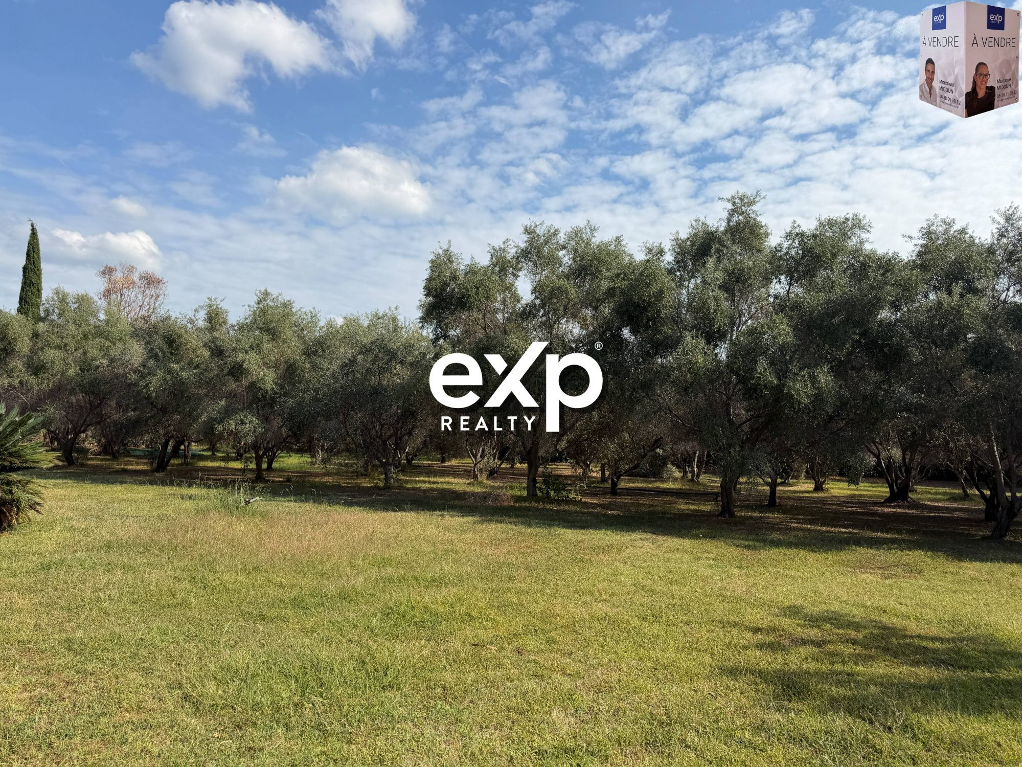 Buildable for sale in Ollioules