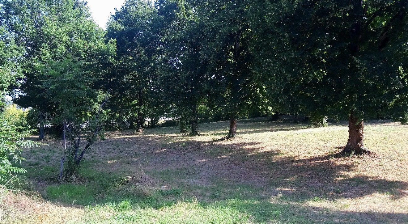 Constructible à vendre à Villefranche-de-Rouergue