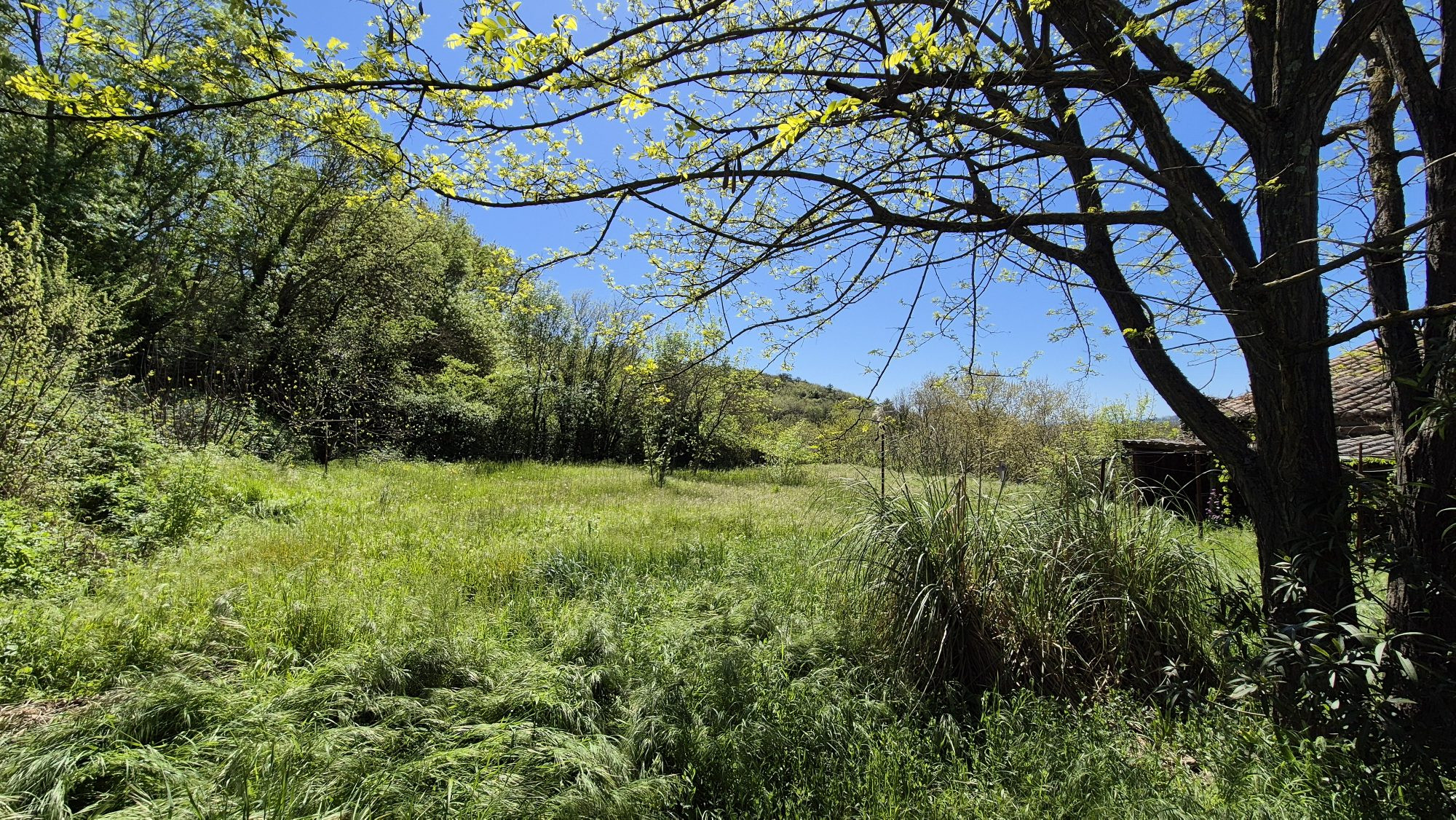 Land in Allègre-les-Fumades 2