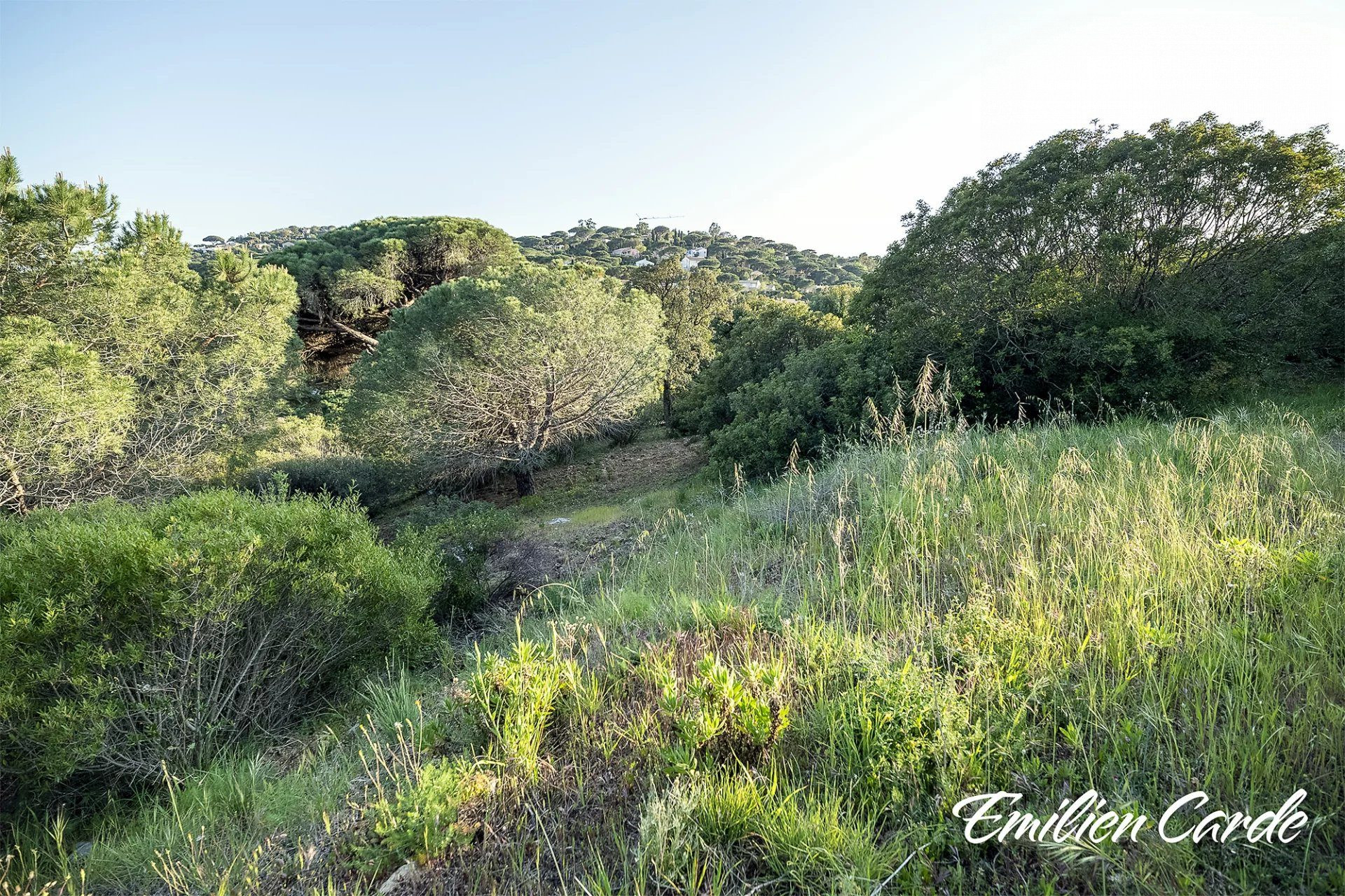 Buildable Land in Sainte-Maxime 5
