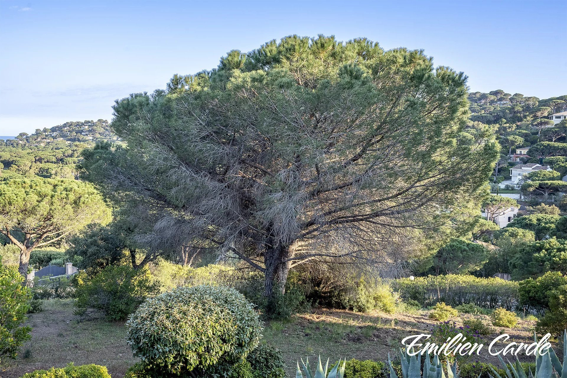 Buildable Land in Sainte-Maxime 3