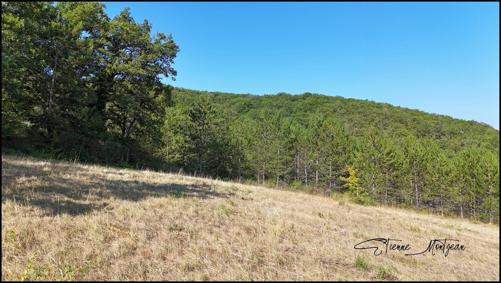 Buildable Land 2700 m² Serviced, Surveyed, Soil Study Available 5
