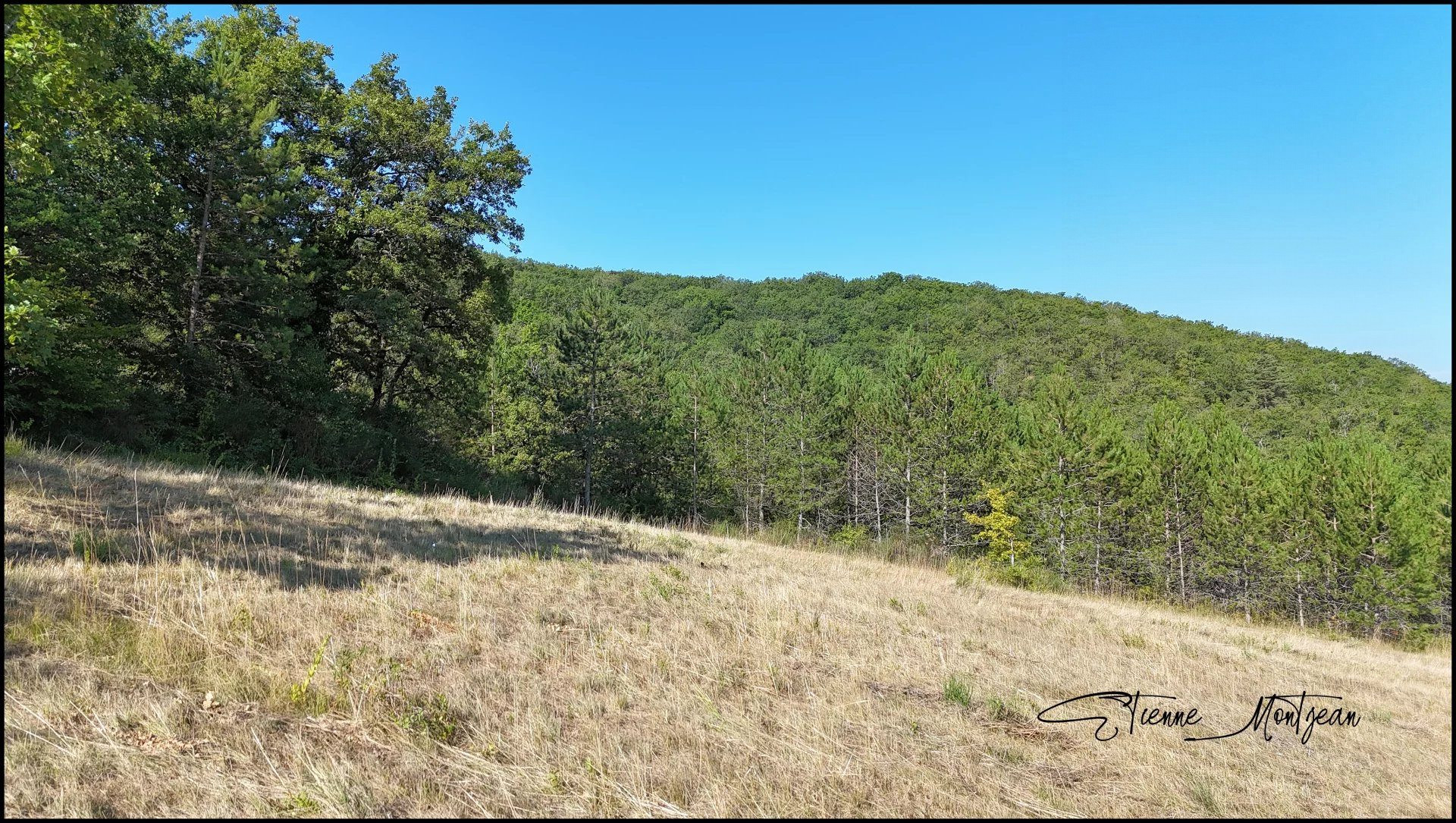 Buildable Land 2700 m² Serviced, Surveyed, Soil Study Available 4