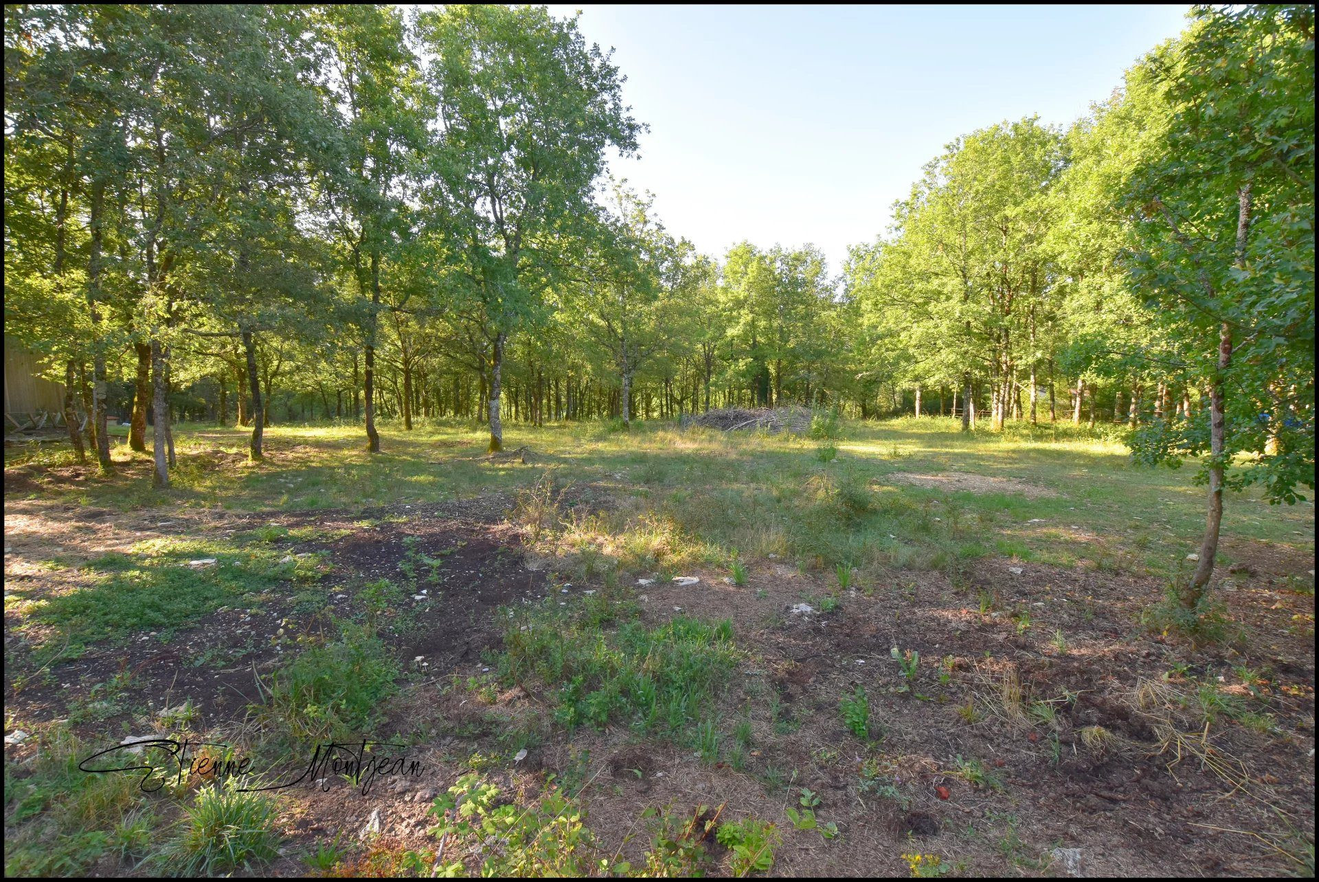 Terrain constructible 1000 m² à Thédirac · 28 000 €