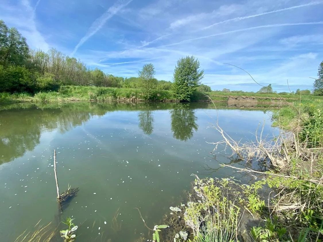 Fishing and Recreation Land 3