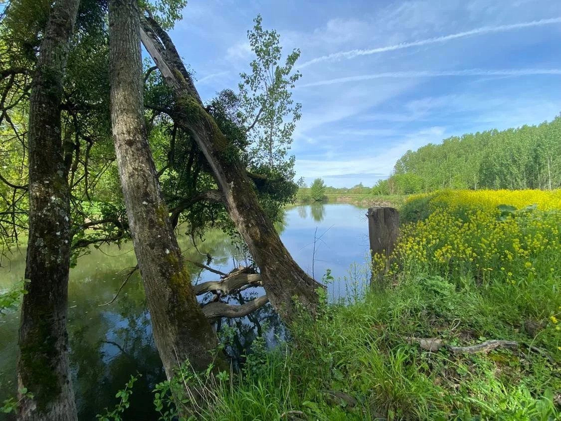 Fishing and Recreation Land 4