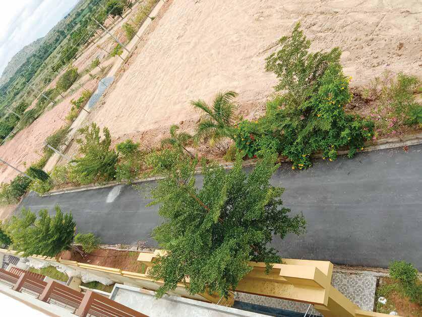 Plot for sale in Anantapur, Palasmaudram, Hyderabad - Bengaluru Hwy, Anantapur, Palasamudram, Anantapur, India, Andhra Pradesh, 515241