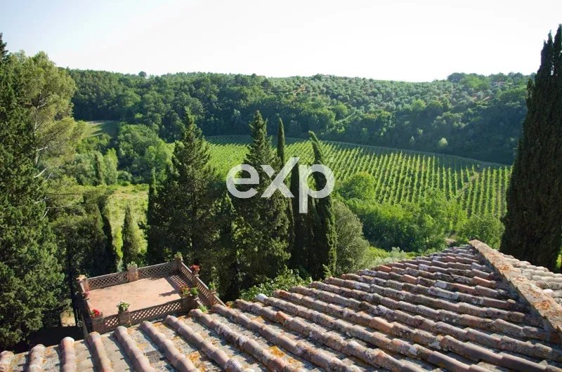 TOSCANA/S. Casciano in Val di Pesa: Villa principale, tre appartamenti e terreno a Gallo Nero Docg