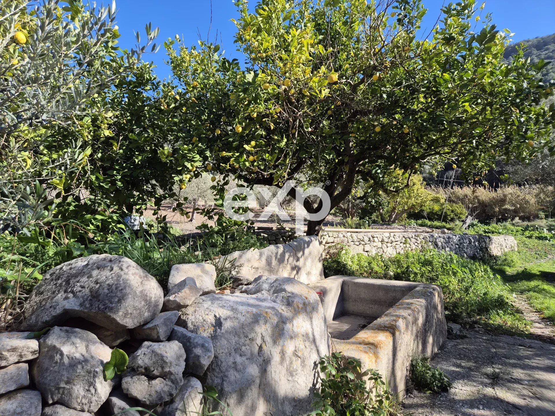 Casa con Giardino tra Scicli e Modica