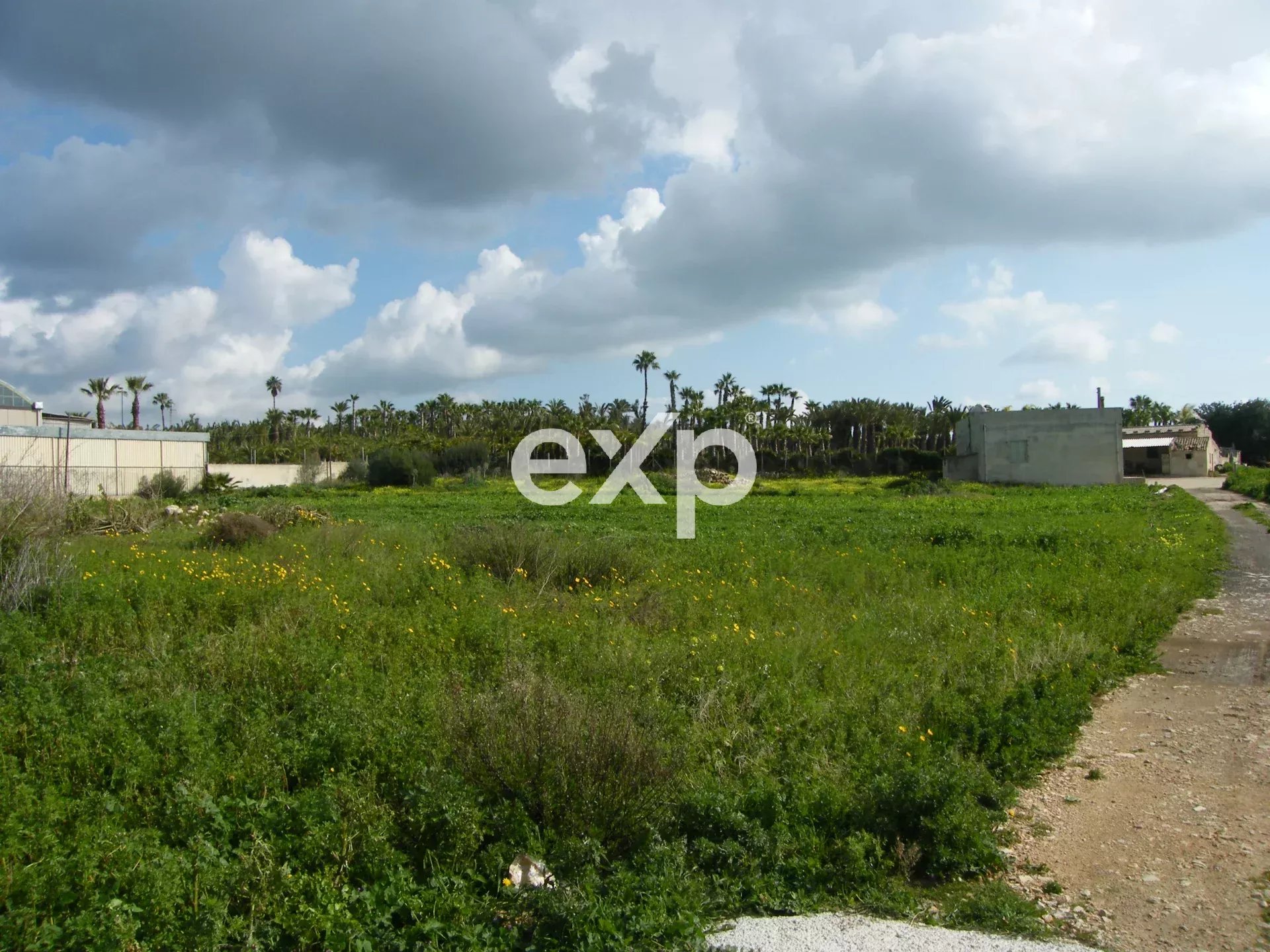 TENUTA CON 8 ETTARI DI TERRENO VICINO AL MARE