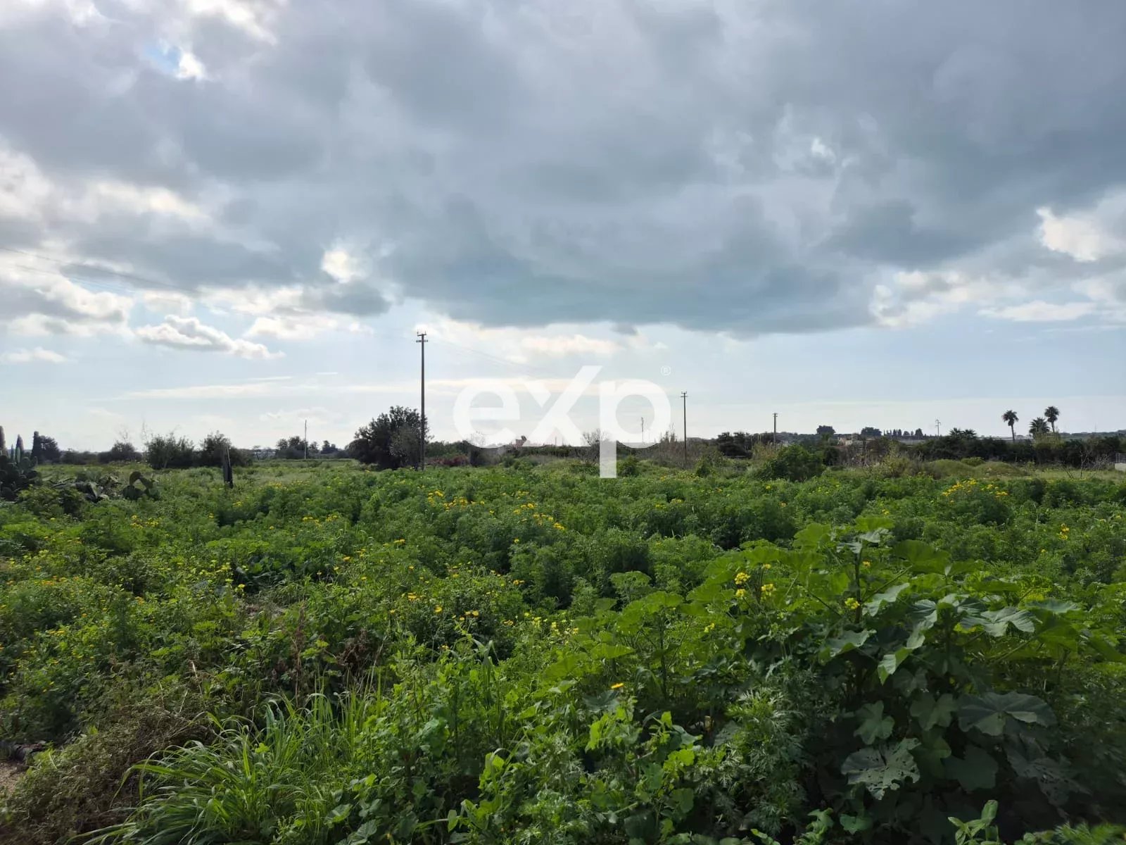 TENUTA CON 8 ETTARI DI TERRENO VICINO AL MARE
