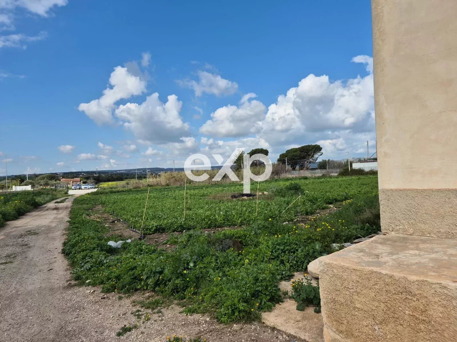 TENUTA CON 8 ETTARI DI TERRENO VICINO AL MARE