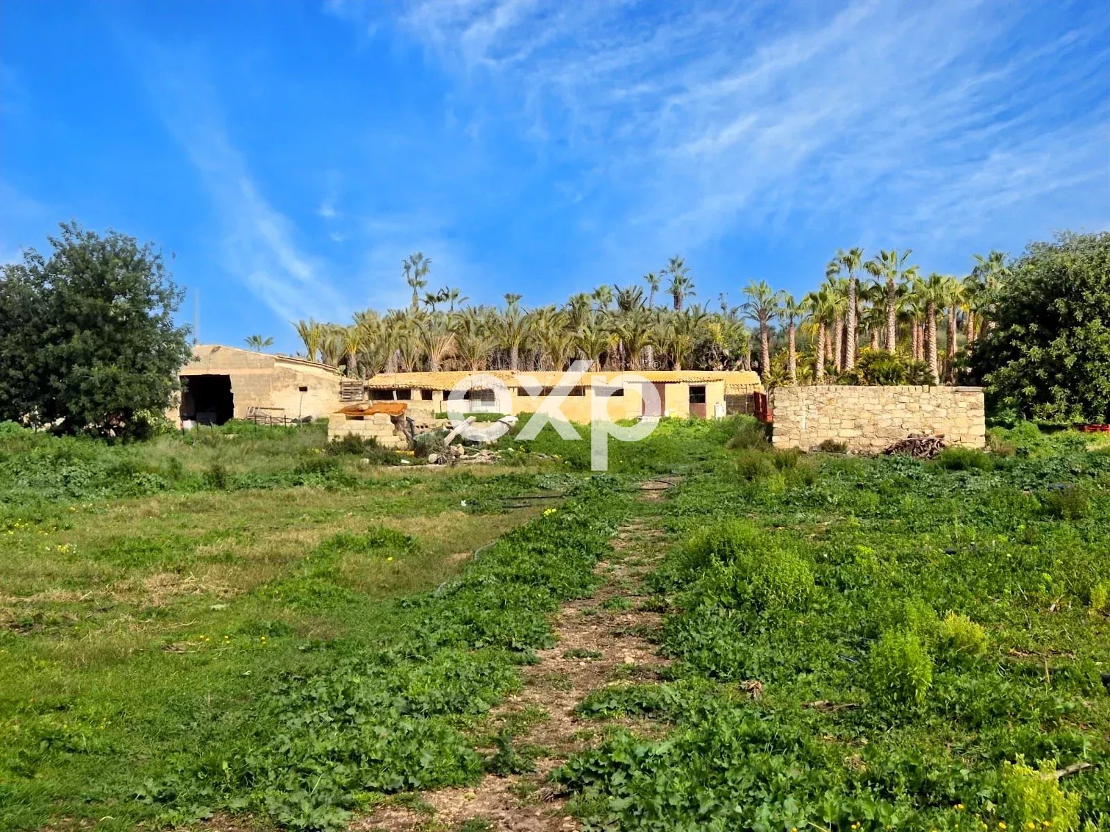 TENUTA CON 8 ETTARI DI TERRENO VICINO AL MARE