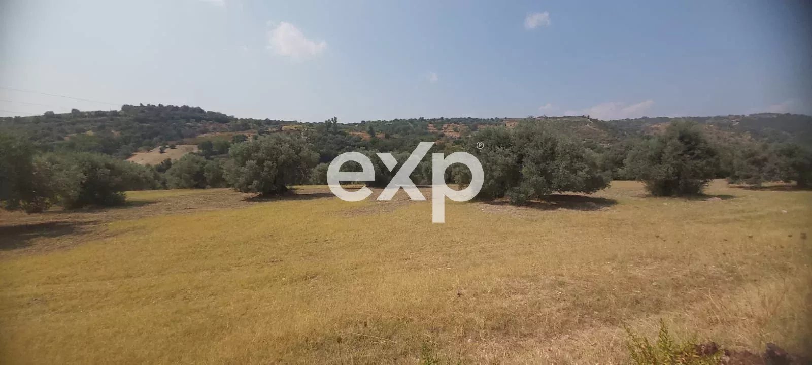 🌿 Terreno con uliveto e fabbricati in vendita – posizione collinare 🌿