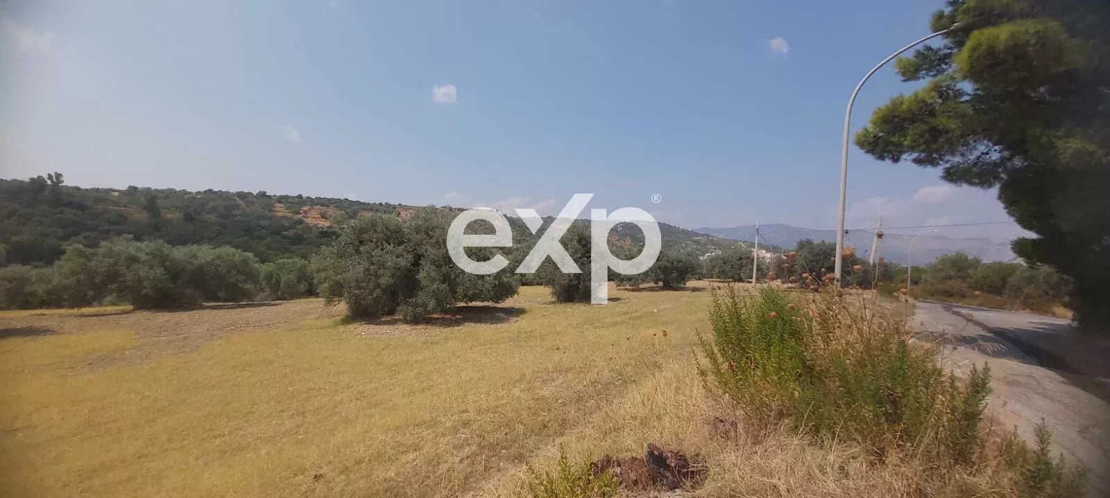 🌿 Terreno con uliveto e fabbricati in vendita – posizione collinare 🌿