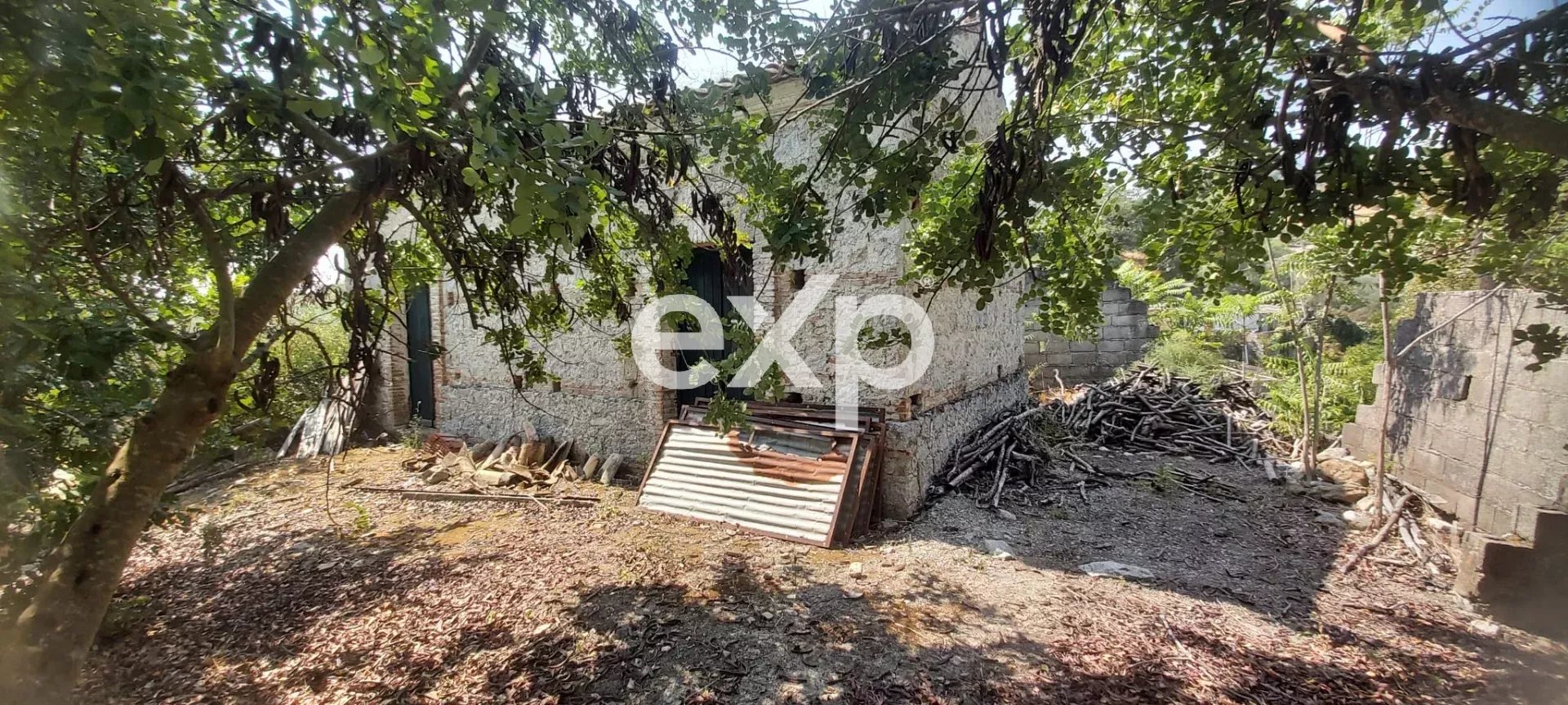 🌿 Terreno con uliveto e fabbricati in vendita – posizione collinare 🌿