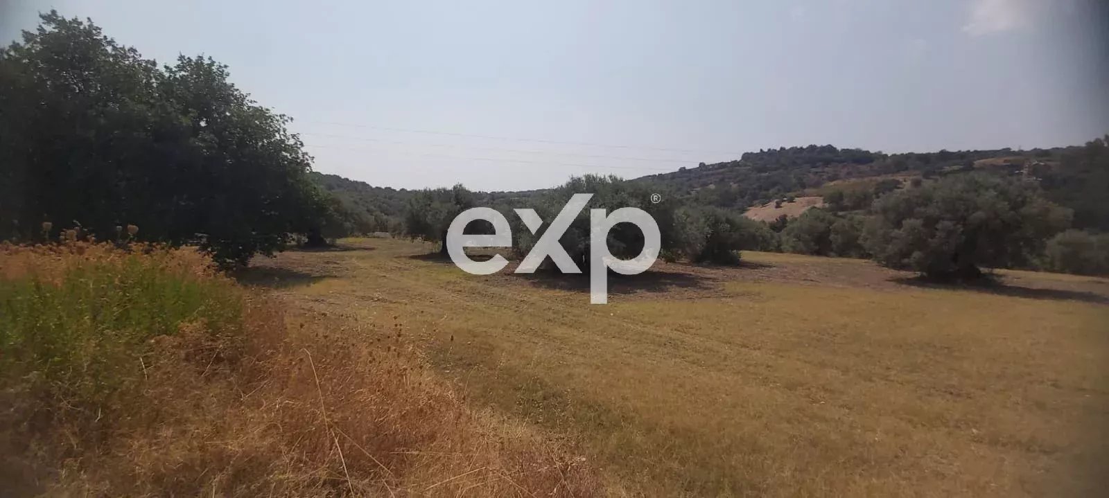 🌿 Terreno con uliveto e fabbricati in vendita – posizione collinare 🌿