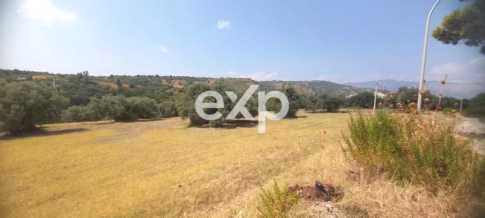 🌿 Terreno con uliveto e fabbricati in vendita – posizione collinare 🌿