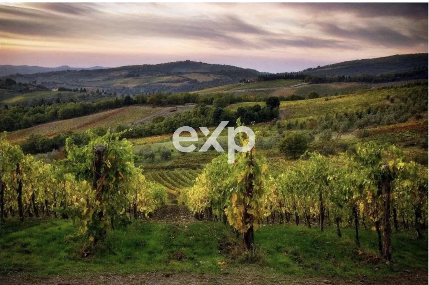 CHIANTI/S.Casciano V.P: Antico Casale panoramico