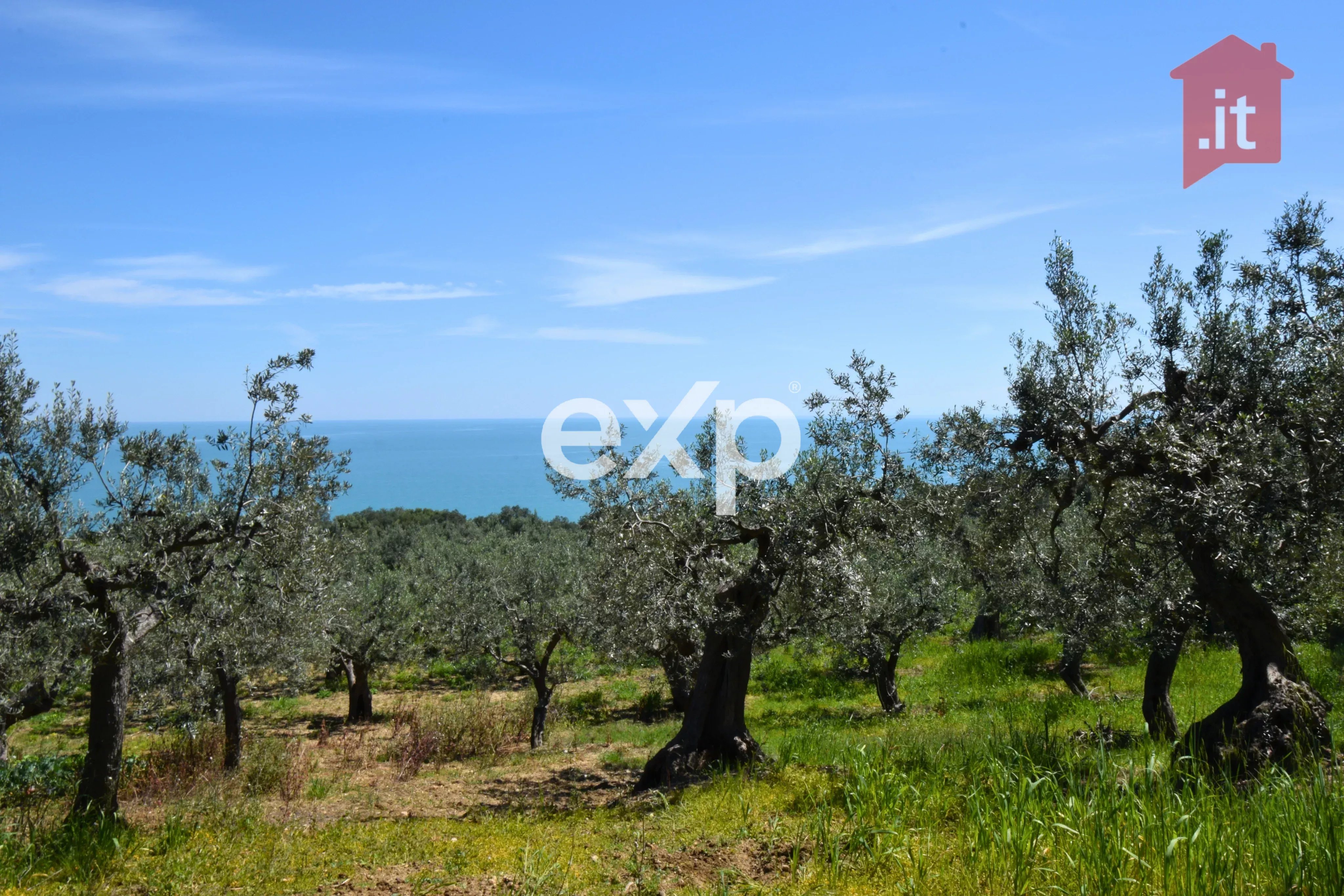 Terreno edificabile vista mare a San Nicola – Il lusso dell’indipendenza nel cuore di Vasto