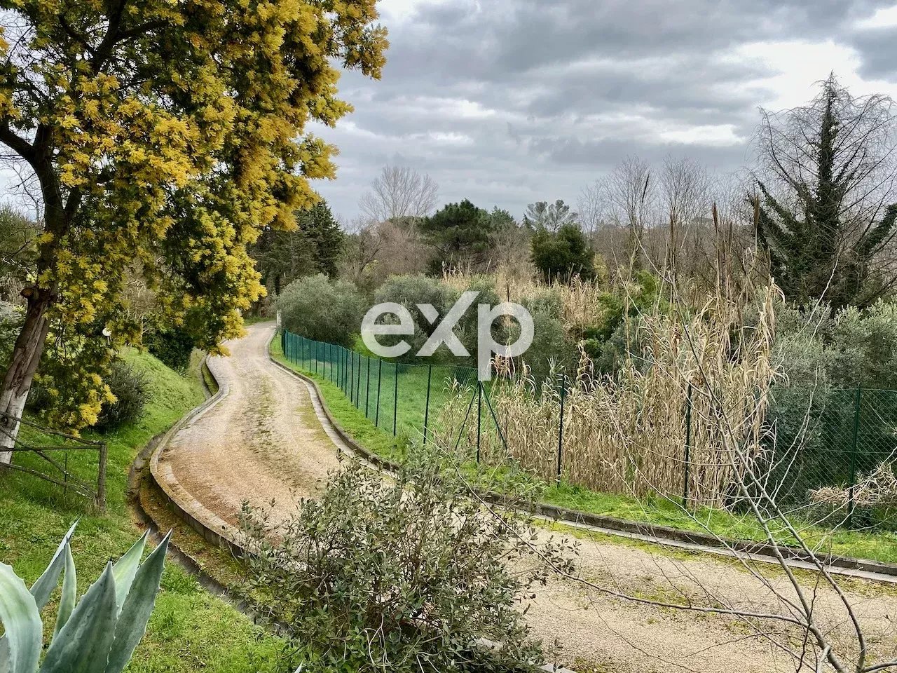 Fauglia – Porzione  di Casale  tipico toscano  con piscina, giardino