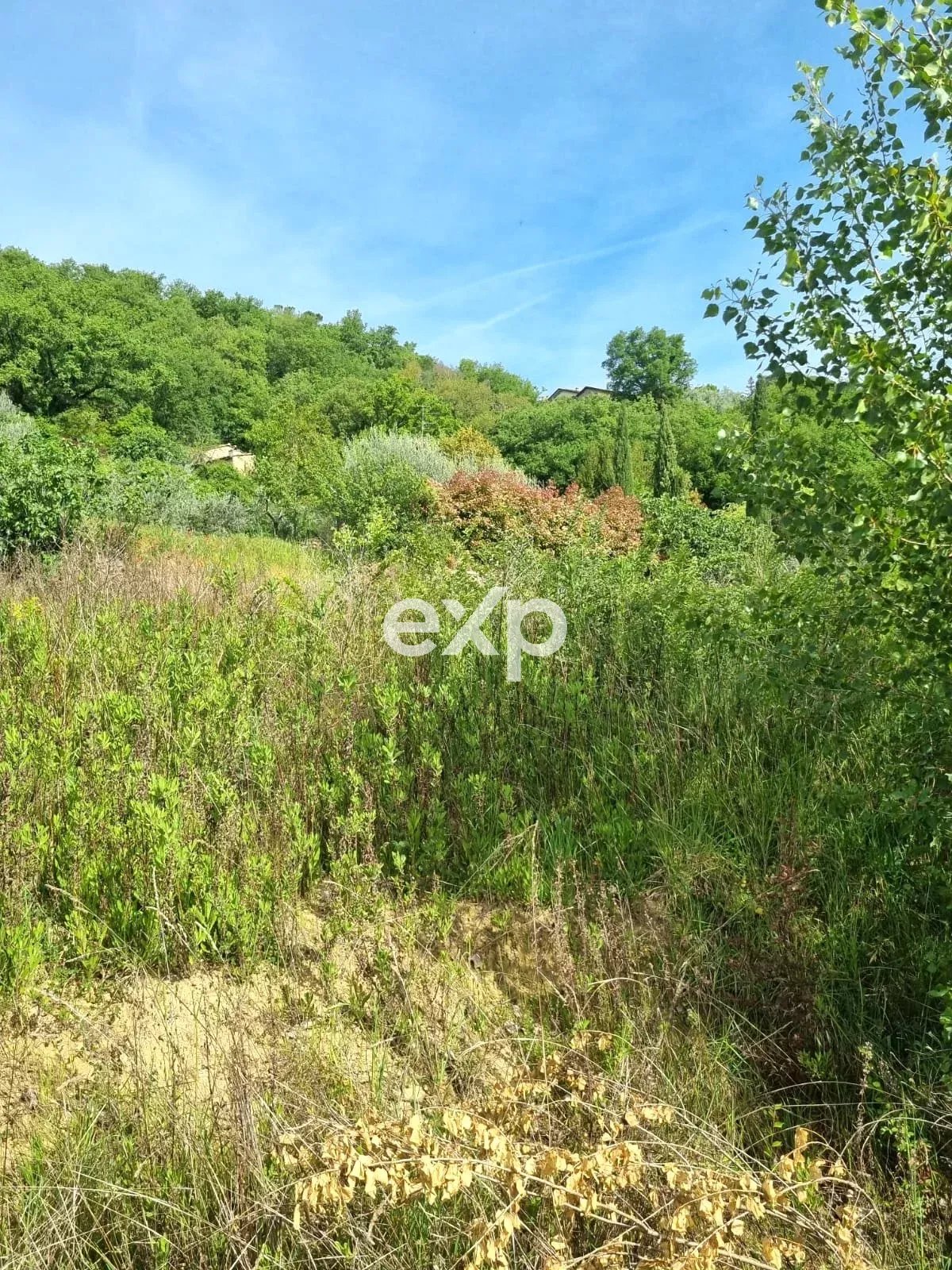 Terreno Edificabile "Pronto Cantiere" – Località Il Paradiso, Capolona (AR)