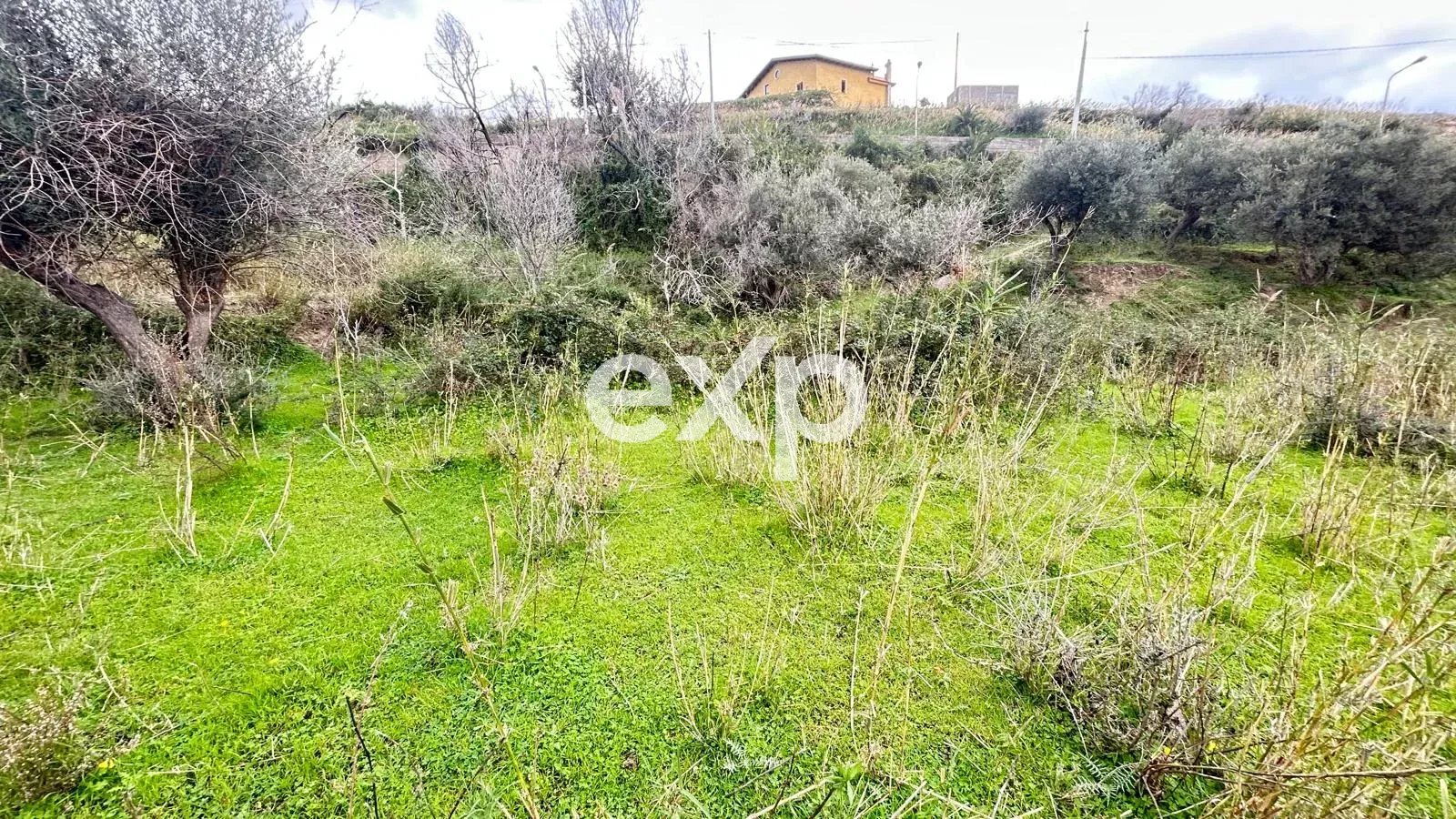 Magazzino di 42 mq con terreno agricolo.