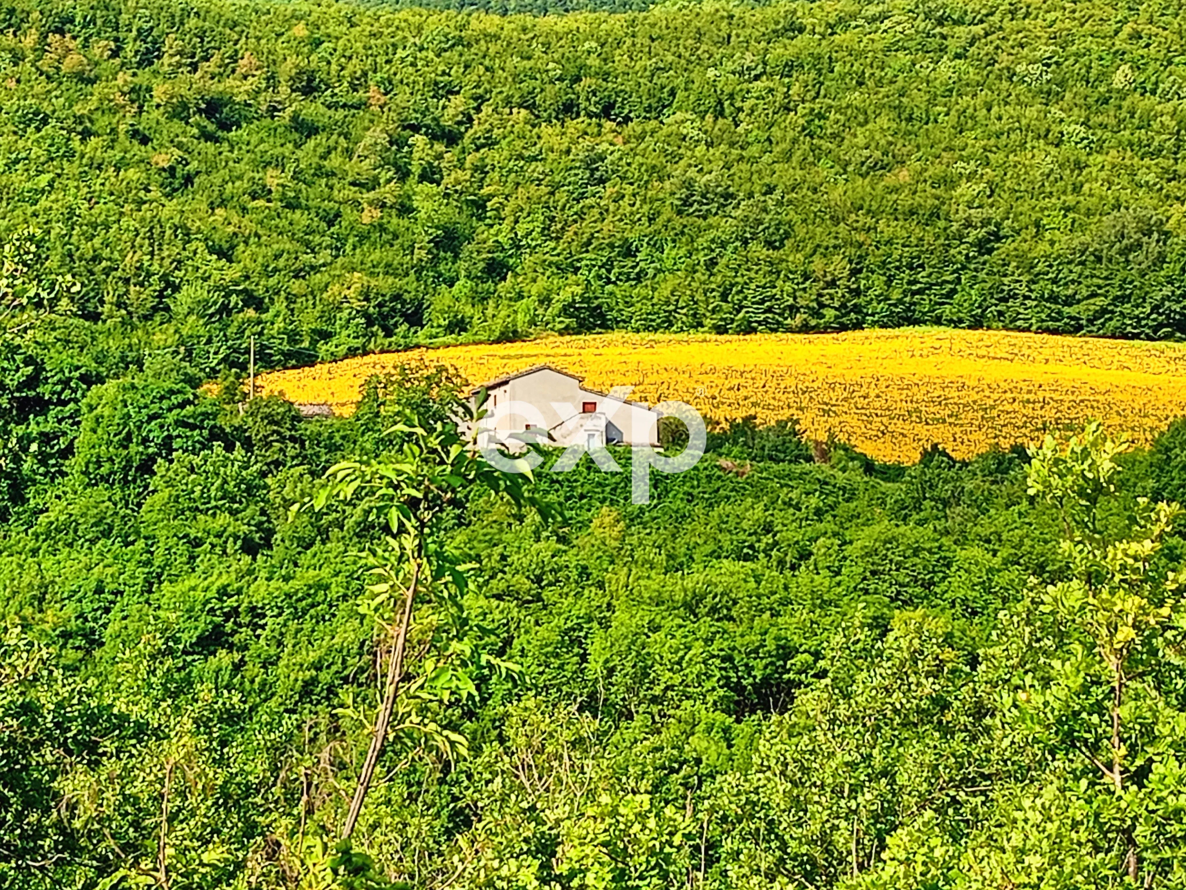 🏡 Casa di Campagna in Vendita a Cagli (PU) – Il Fascino Autentico di San Fiorano