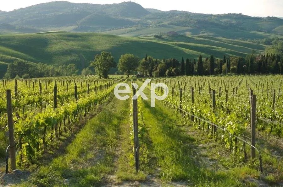 Casa in vendita a Montepulciano, 48 ha