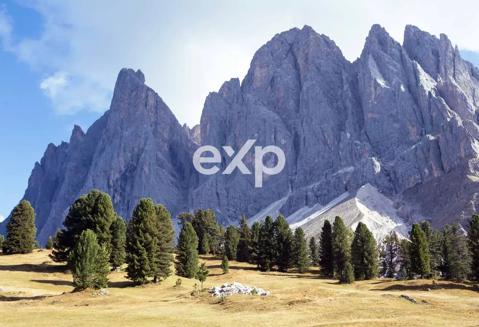 San Martino di Castrozza - elegante residenza al piano terra