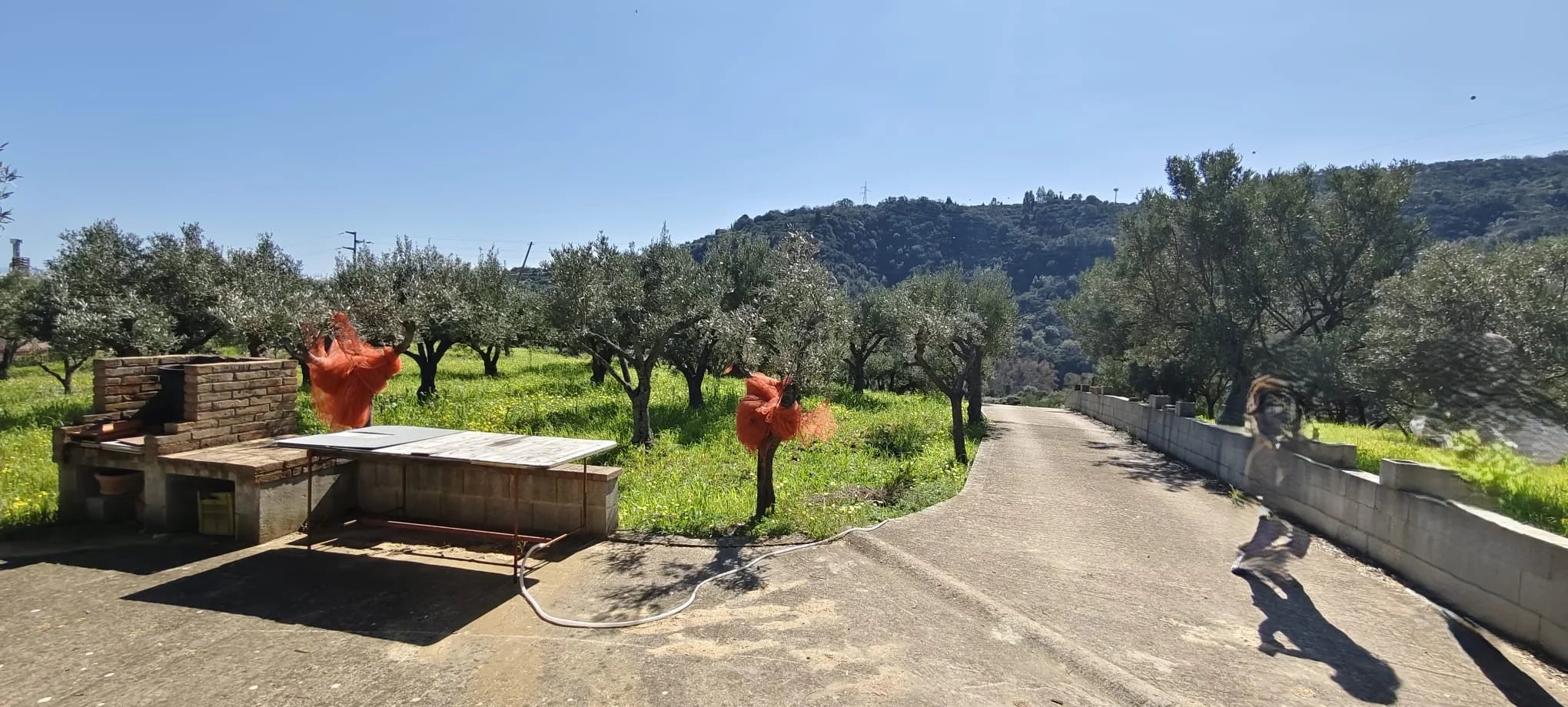 Terreno in vendita a Davoli, via manozzolo, 88060 Davoli, 6400 m²