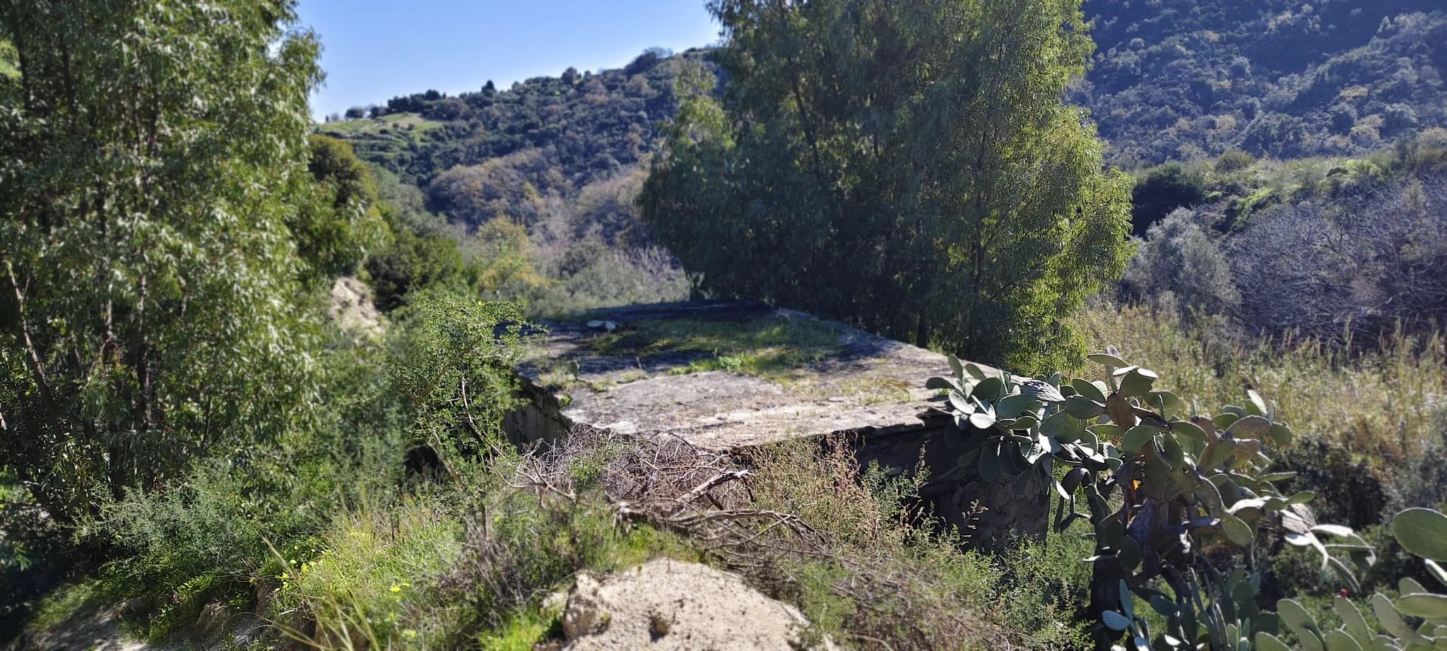 Terreno in vendita a Davoli, via manozzolo, 88060 Davoli, 6400 m²