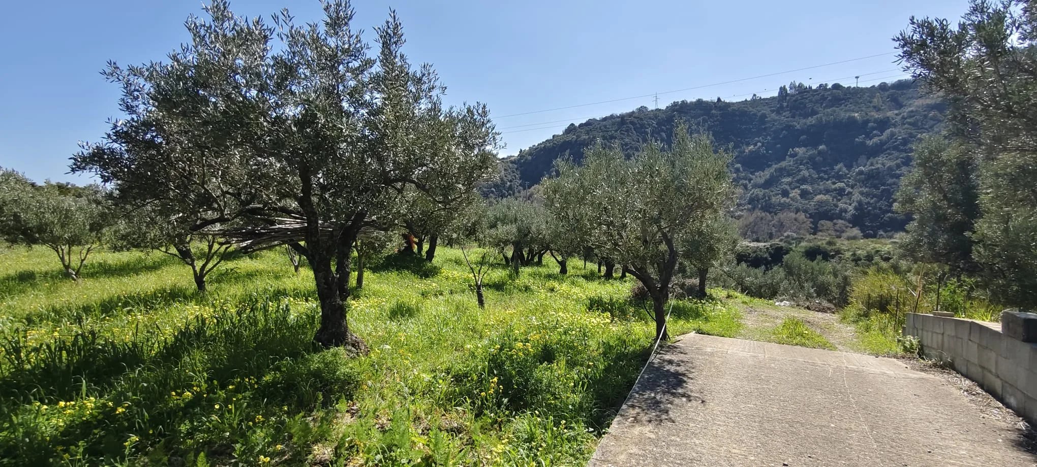 Terreno in vendita a Davoli, via manozzolo, 88060 Davoli, 6400 m²
