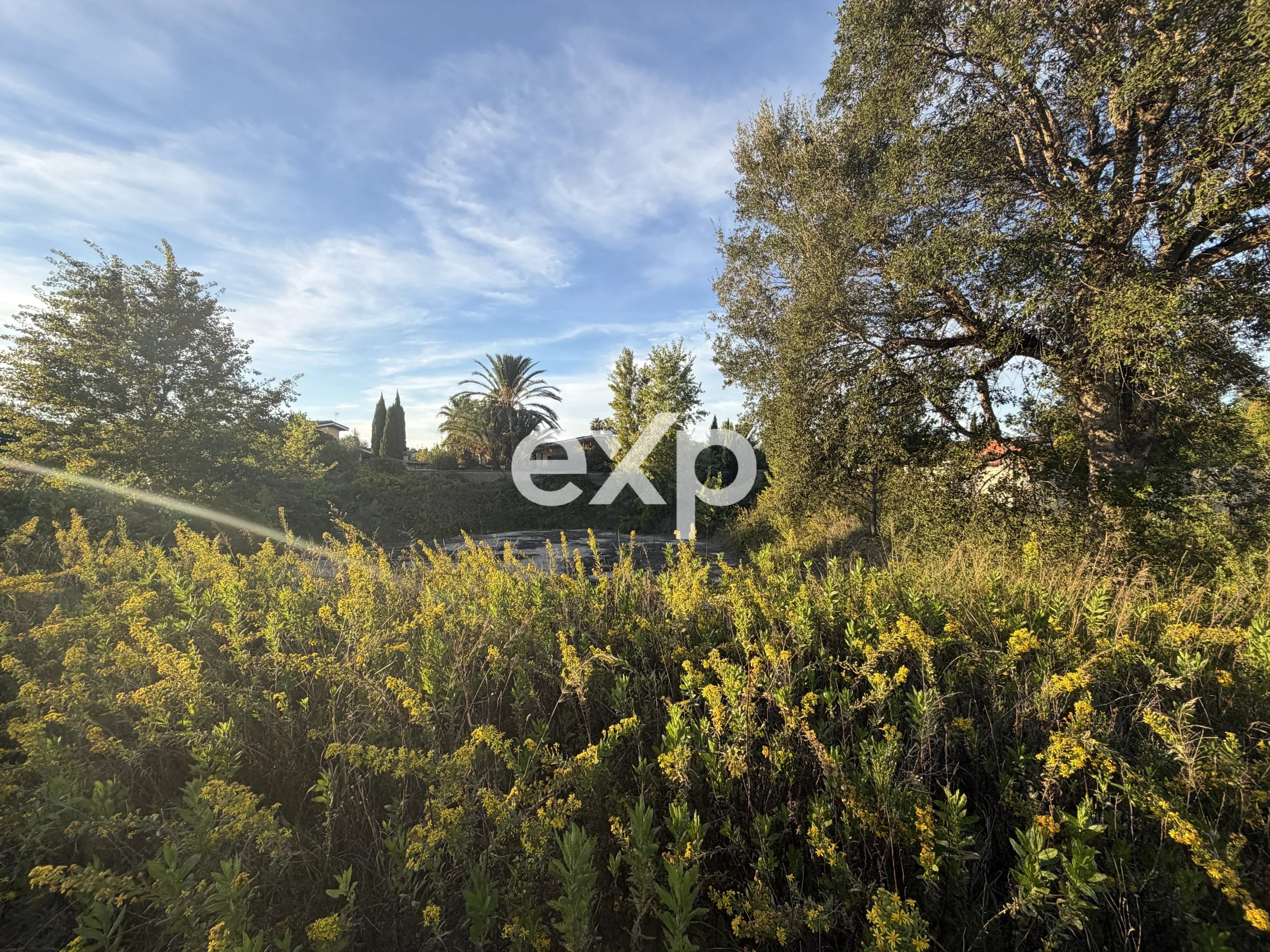 Land/Plot for sale in Roma, Via Alcidamante di Elea, 00124 Roma, 2500 m²