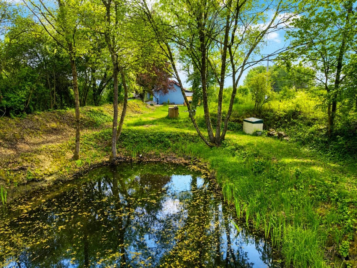 Private Nature Refuge — Pond, Solar Panels & Protected Area in Hagen