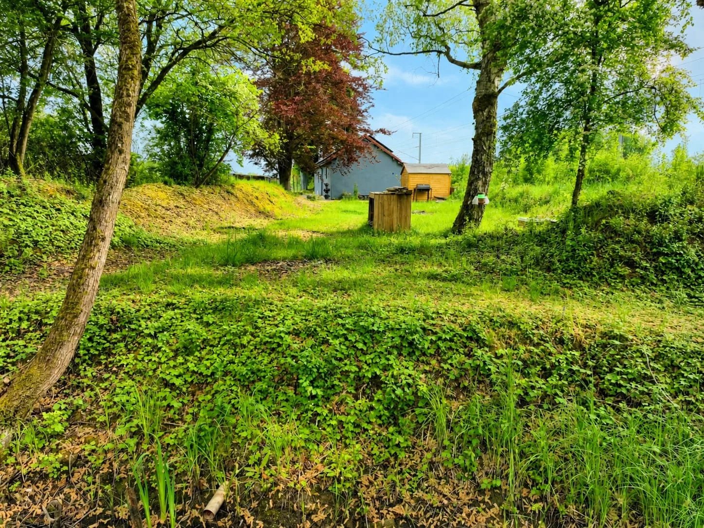 Private Nature Refuge — Pond, Solar Panels & Protected Area in Hagen 4