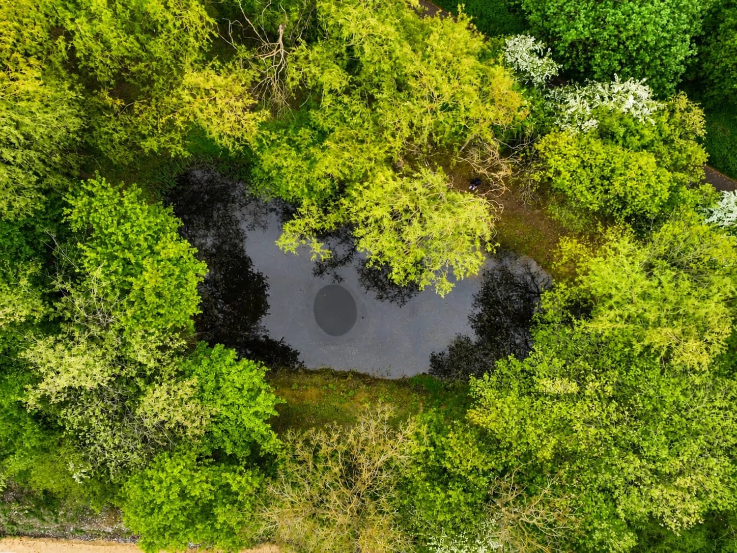 Private Nature Refuge — Pond, Solar Panels & Protected Area in Hagen 2