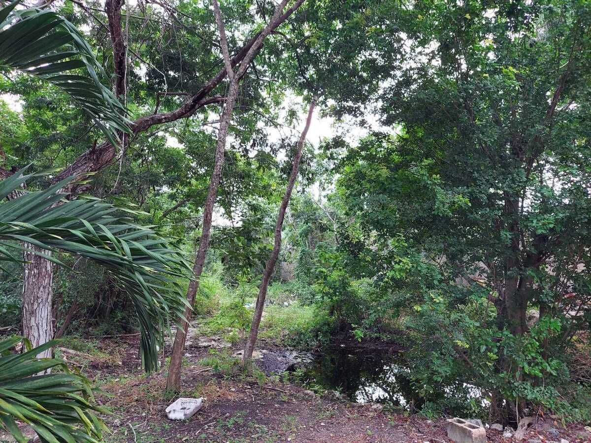 Commercial Land for Sale on Av. Tulum, Cancún